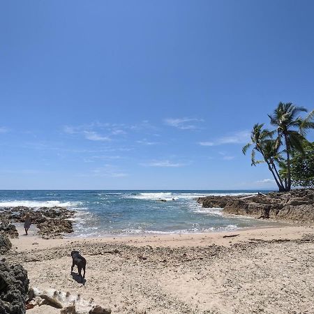 La Sana Surf Hotel - New Management Playa Santa Teresa  Eksteriør billede